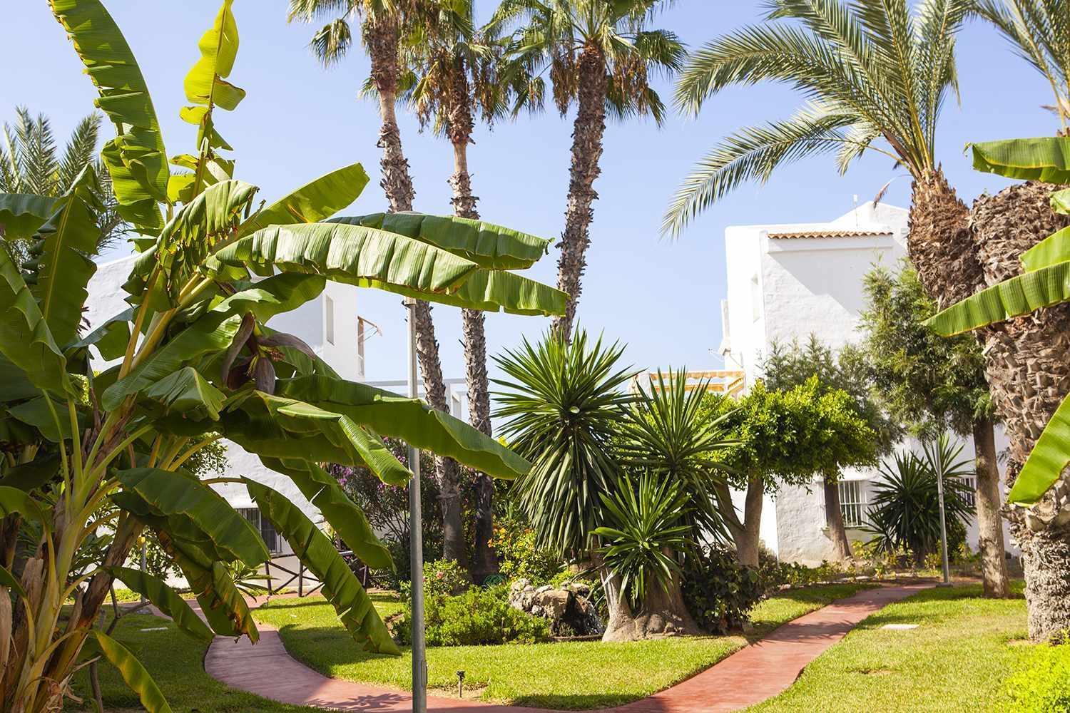 A 100M De Playa Piscina Y Todos Los Servicios Διαμέρισμα Torrox Εξωτερικό φωτογραφία